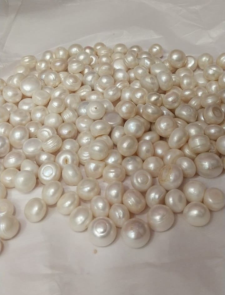 file - 2025-12-02T092521.391.jpeg